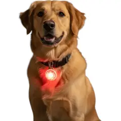 DEFENSOR FOREVER - X3 Luz Led Para Collar De Mascotas Paseos Nocturno Perros