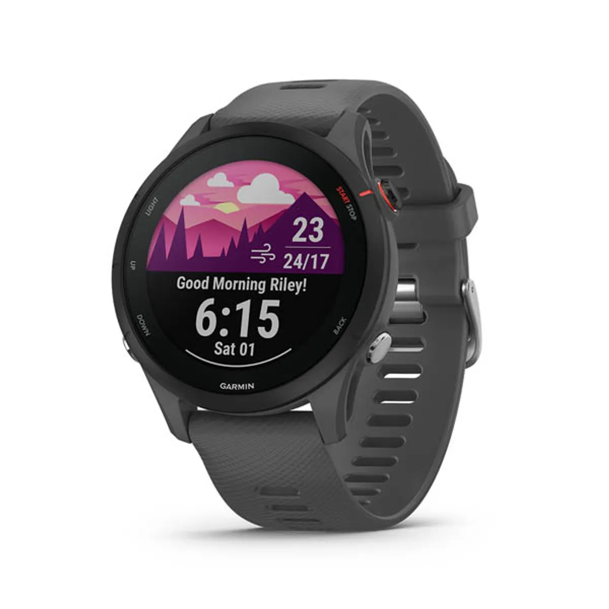 GARMIN - Garmin Forerunner 255 Smartwatch Slate Gray 46mm