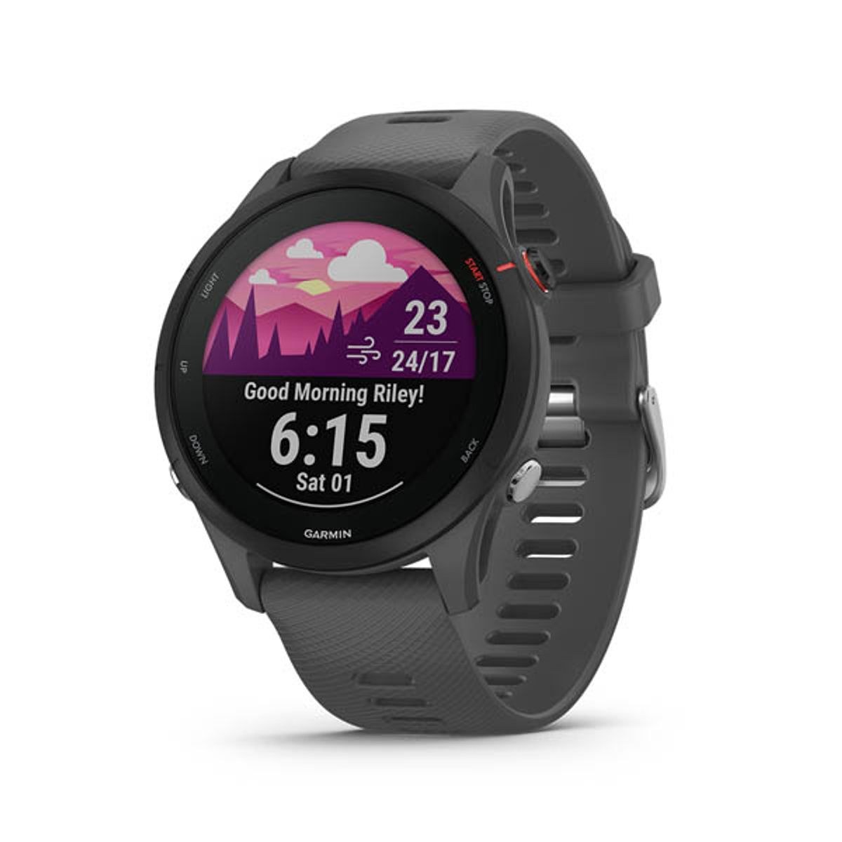 GARMIN - Garmin Forerunner 255 Smartwatch Slate Gray 46mm