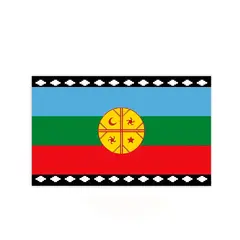 GENERICO - Bandera Mapuche 60x90cm 90337