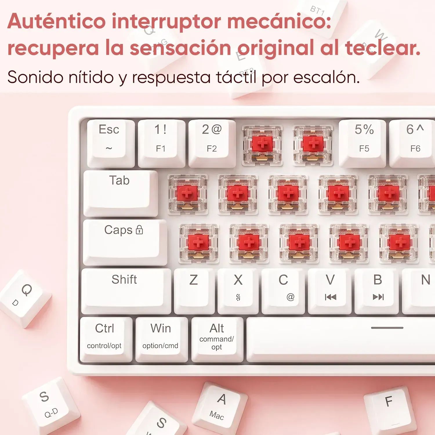 AIZO Teclado para PC y Laptop 65% Inalámbrico 68 Teclas con