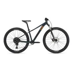 LIV - BICICLETA MTB  TEMPT 29 1 MY 24