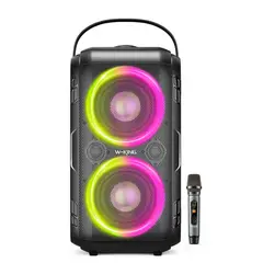 W KING - Parlante Karaoke W-KING T9 80W