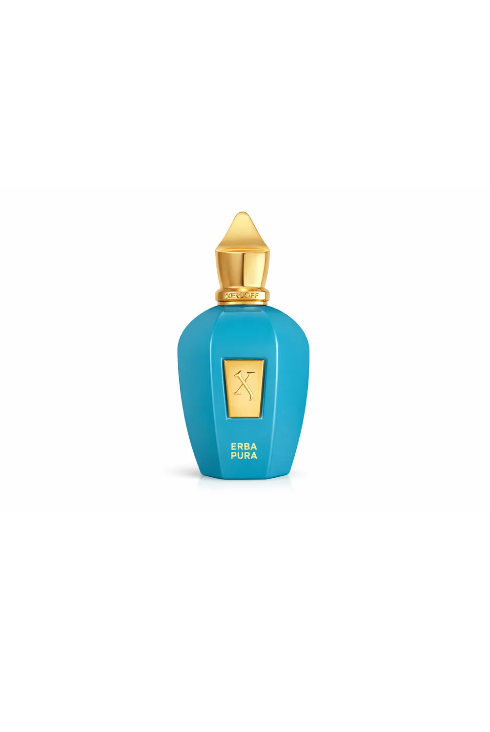 XERJOFF ERBA PURA XJ V 100ML EDP | Falabella Chile