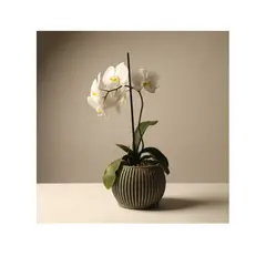 GENERICO - Maceta Para Orquideas Grandes