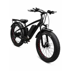 GENERICO - Bicicleta Electrica E-FRONTEA BIKE
