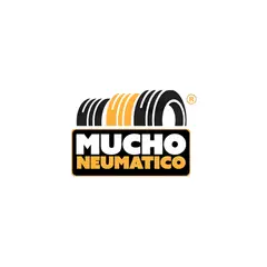 YOKOHAMA - Neumático 225/55R18 Ch-Es32 98V