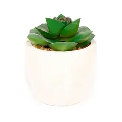 HOMEWELL - Cactus Suculenta Artificial