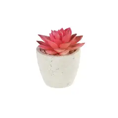 HOMEWELL - Cactus Suculenta Artificial