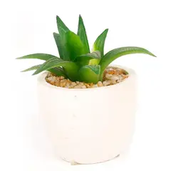 HOMEWELL - Cactus Suculenta Artificial