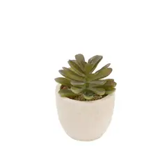 HOMEWELL - Cactus Suculenta Artificial