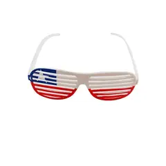 GENERICO - Lentes Bandera de Chile 5x15cm 61626