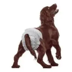 METALFER - Pañal Para Perro Talla L 12 Und Seco Y Cómodo