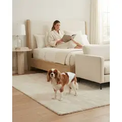MYLHOGAR - Pañales Desechables Perro Macho PETSHOW Talla M x 24 Unidades