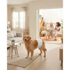 MYLHOGAR - Pañales Desechables Perro Macho PETSHOW Talla XL x 24 Unidades