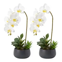 FLIPEREX - Set 2 Plantas Artificiales Orquidea Maceta Decoracion Hogar - Blanco - Macetero Negro