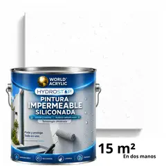 WORLD ACRYLIC - ESMALTE IMPERMEABLE SILICONADA - DIRECTO SOBRE HONGOS – MATE – GALÓN – BLANCO PERFECTO