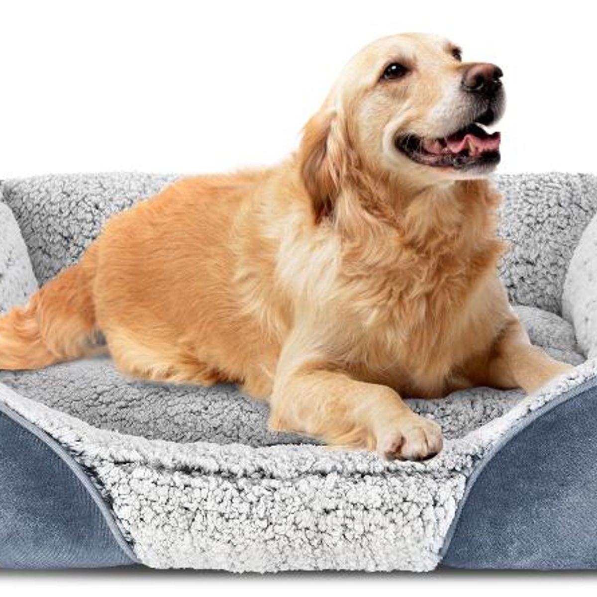 GENERIC - Cama para mascota acolchada con chiporro para perros o gatos S de 57x47 cm