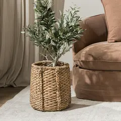 AMOBLE - Planta Olivos 1m Todos