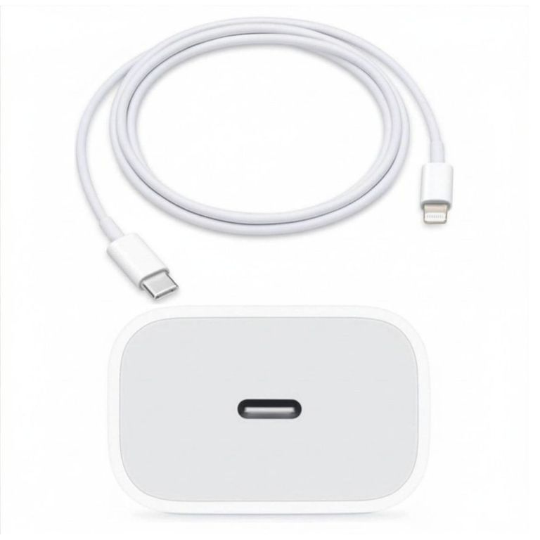 Cargador USB-C 20W Original Con Cable C Lightning 1mt