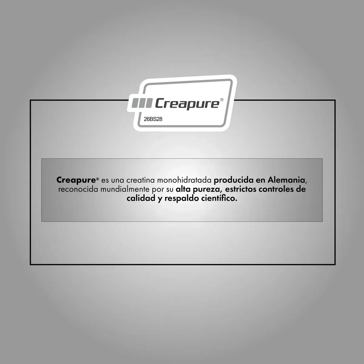 FUEL NUTRITION - Creatina Monohidratada Creapure® - Fuel Nutrition - 60 Días Sin Sabor
