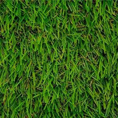 WINTER - Pasto Sintético Foresta P20mm - 850 Grs - Rollo 2x4 Mt