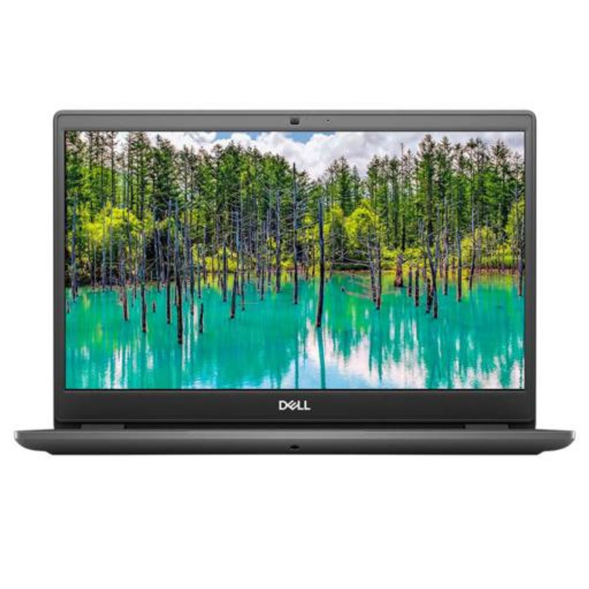 DELL - Notebook DELL 3410 CORE i5 10ma gen 8gb de ram ssd de 512GB