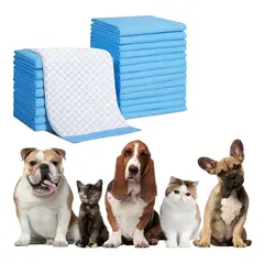 IRM - Pañales perros y gatos absorbentes 160 unidades 60x60cm sabanillas entrenamiento mascotas r&l group