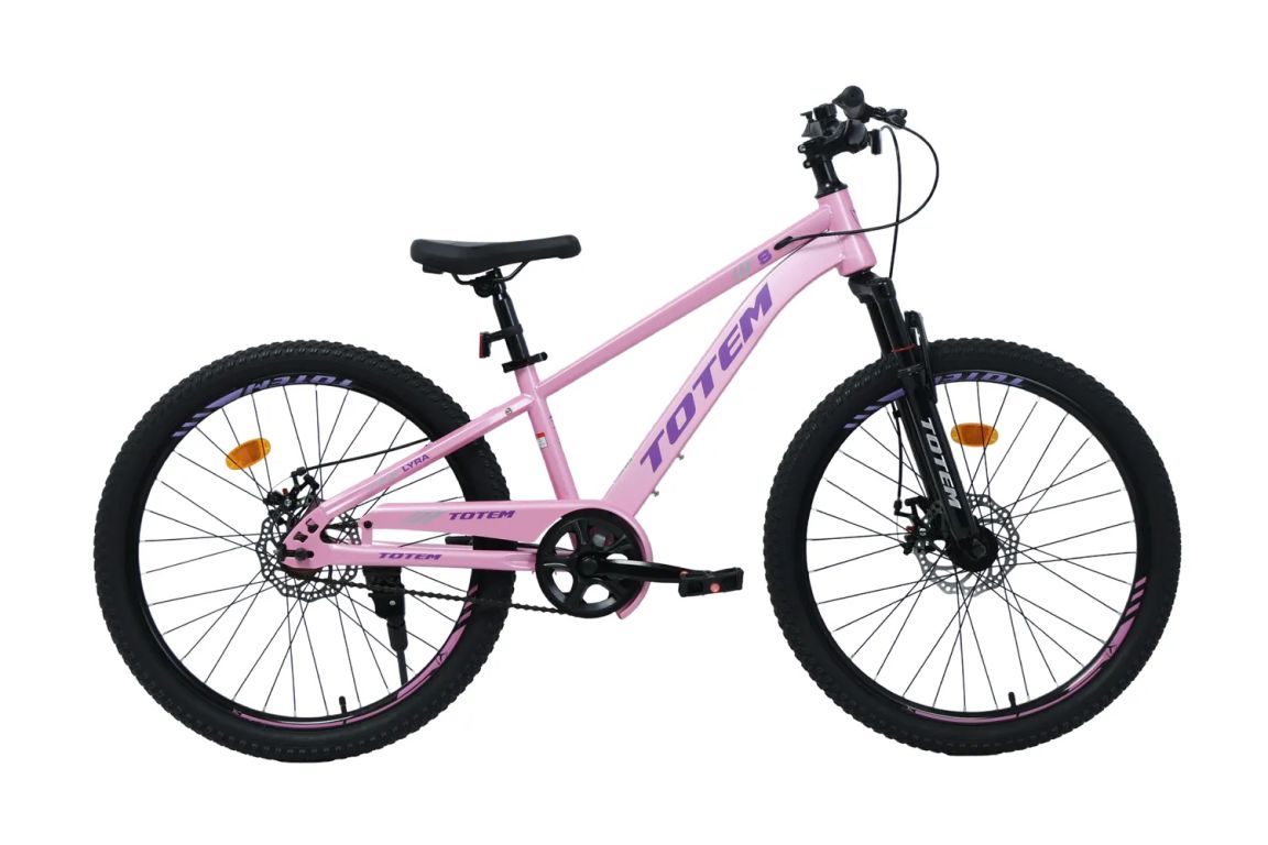 BICICLETA MTB ARO 24 LYRA COLOR ROSADO