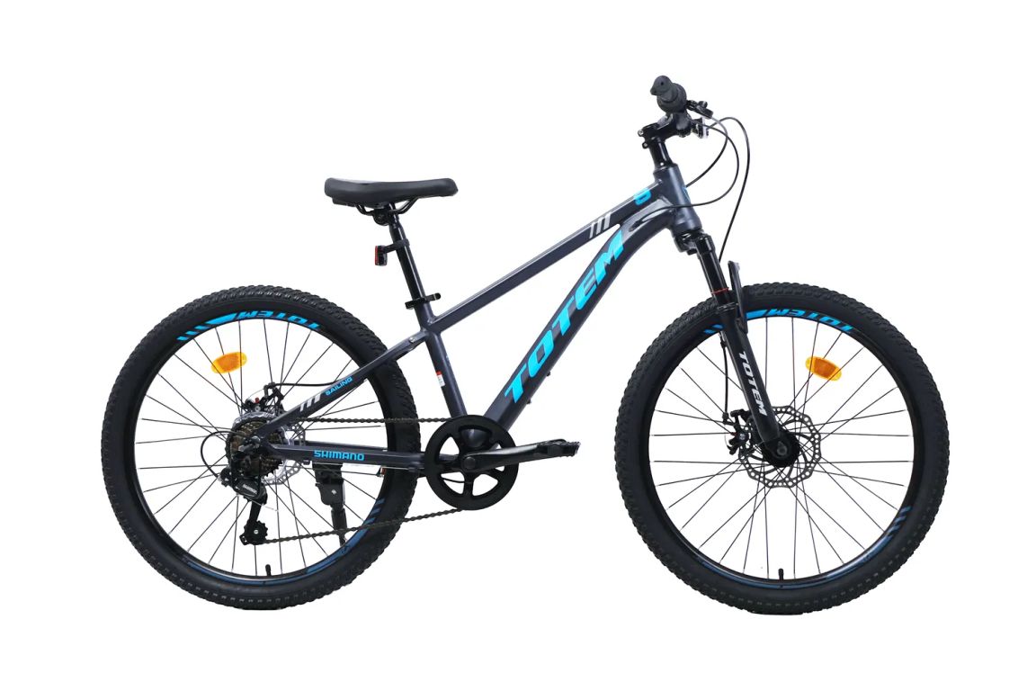 BICICLETA MTB ARO 24 SAILING COLOR GRIS Gris XS