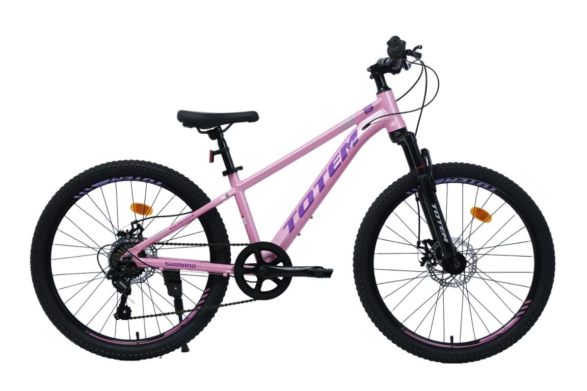 BICICLETA MTB ARO 24 SAILING NOVA COLOR ROSADO Rosado XS