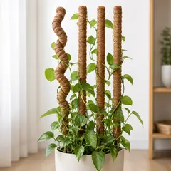 GENERICO - Kit Tutor De Musgo 20pcs Soporte Plantas Trepadoras 100cm