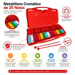 GENERICO - Metalófono 25 Notas Infantil Musical Educativo con Estuche y Baquetas – Color rojo