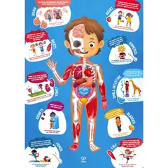 HAPE - Rompecabezas para Aprender sobre las Partes del Cuerpo Humano