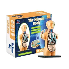 GENERICO - Juguete Cuerpo Humano Medicina Aprendizaje Niños 3D