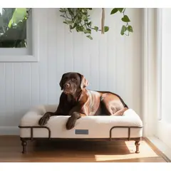 GENERICO - Cama Ortopedica Para Perros Donnas Essential Beige con base SoHo M