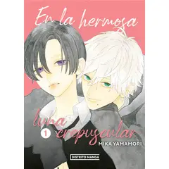 DISTRITO MANGA - En la hermosa luna crepuscular