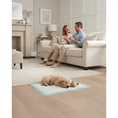 MYLHOGAR - Almohadillas Absorbentes para Entrenamiento Canino M 100 Unidades