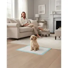 MYLHOGAR - Tapetes Higiénicos Absorbentes para Perros S 100 Unidades