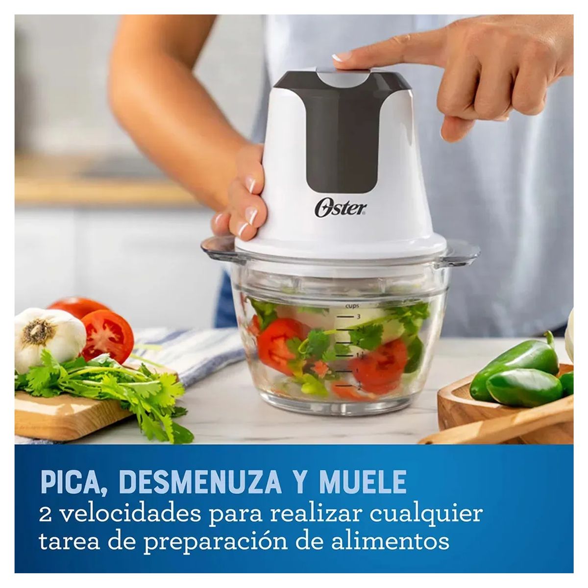 OSTER - Mini Picadora De Alimentos Oster Tazón De Vidrio