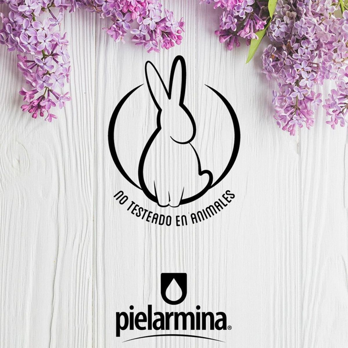 PIELARMINA - Pg Body Castana 350 Ml Pielarmina