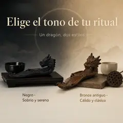 GENERICO - Quemador de incienso forma dragón, soporte cerámico decorativo