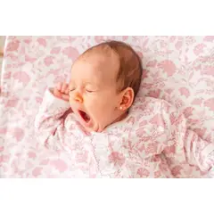OH MY LAMB - Enterito Pima toile rosa