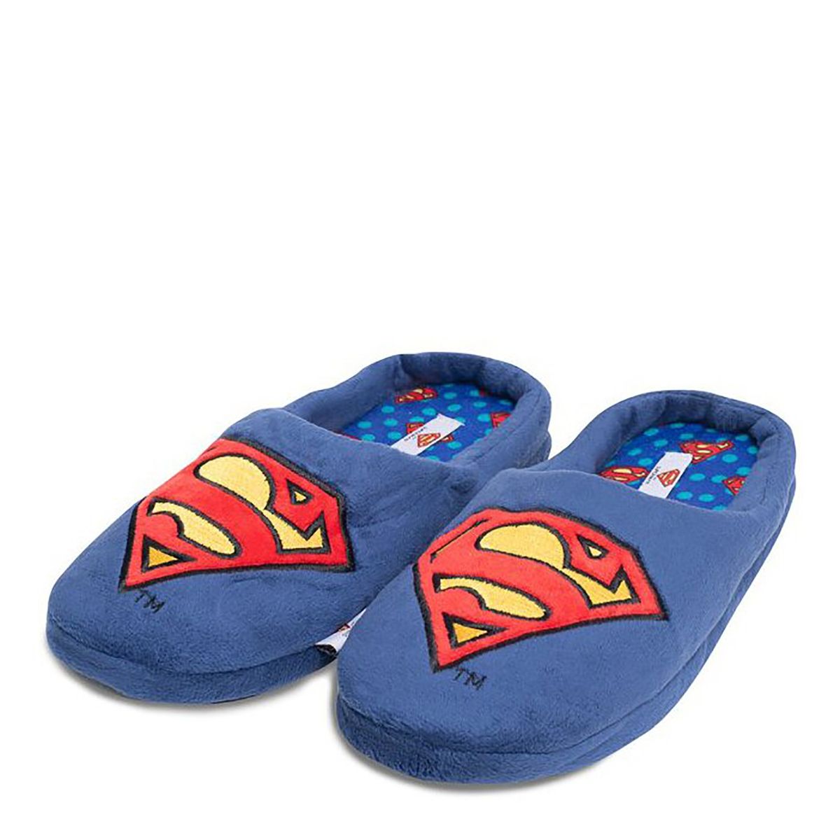 DC COMICS - Pantufla Hombre Superman Azul Dc Comics