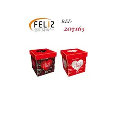 OEM - Caja de Regalo Presentacion Decorativa 30x30x30cm Mod. 2123