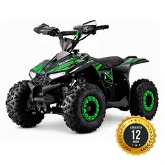 GENERICO - CUATRIMOTO BEBRAVE PEGASUS PRO 110CC AUTOMATICA NIÑOS VERDE