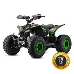 GENERICO - CUATRIMOTO ATV FENYX 125CC AUTOMATICA PARTIDA ELECTRICA VERDE