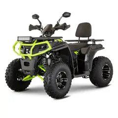 GENERICO - CUATRIMOTO ATV WILD HD 250CC CVT REVERSA OIL COOLED VERDE