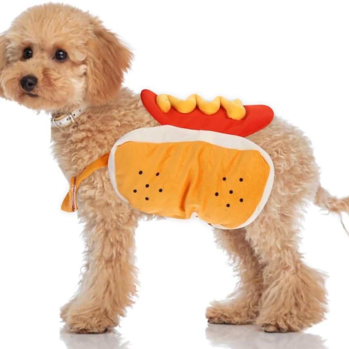 KUANGYE - Disfraz Para Perros, Gatos Diseño Hot Dog Halloween Mascotas