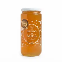 GENERICO - Miel de ulmo mundo miel 1kg miel cruda sin pesticidas sin filtrar libre de gluten